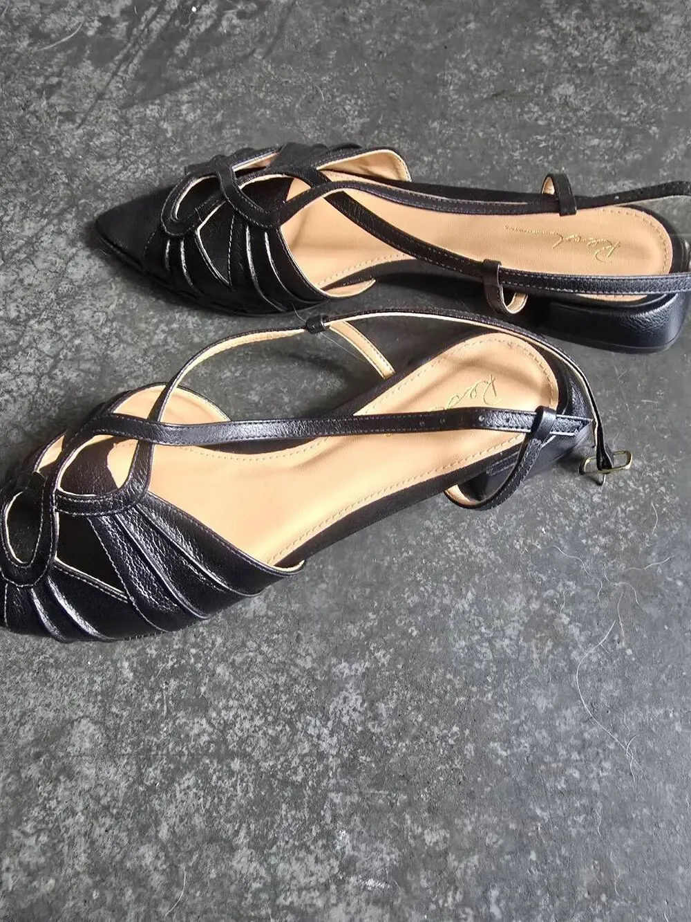 Pointed Toe Flats